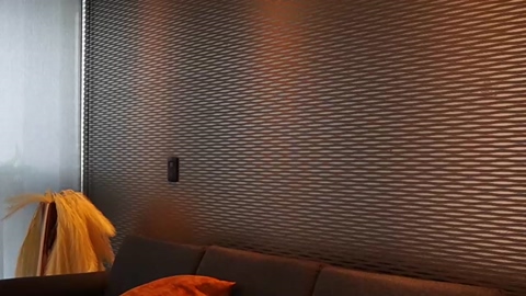 letiziafulkers1  24-01-2023